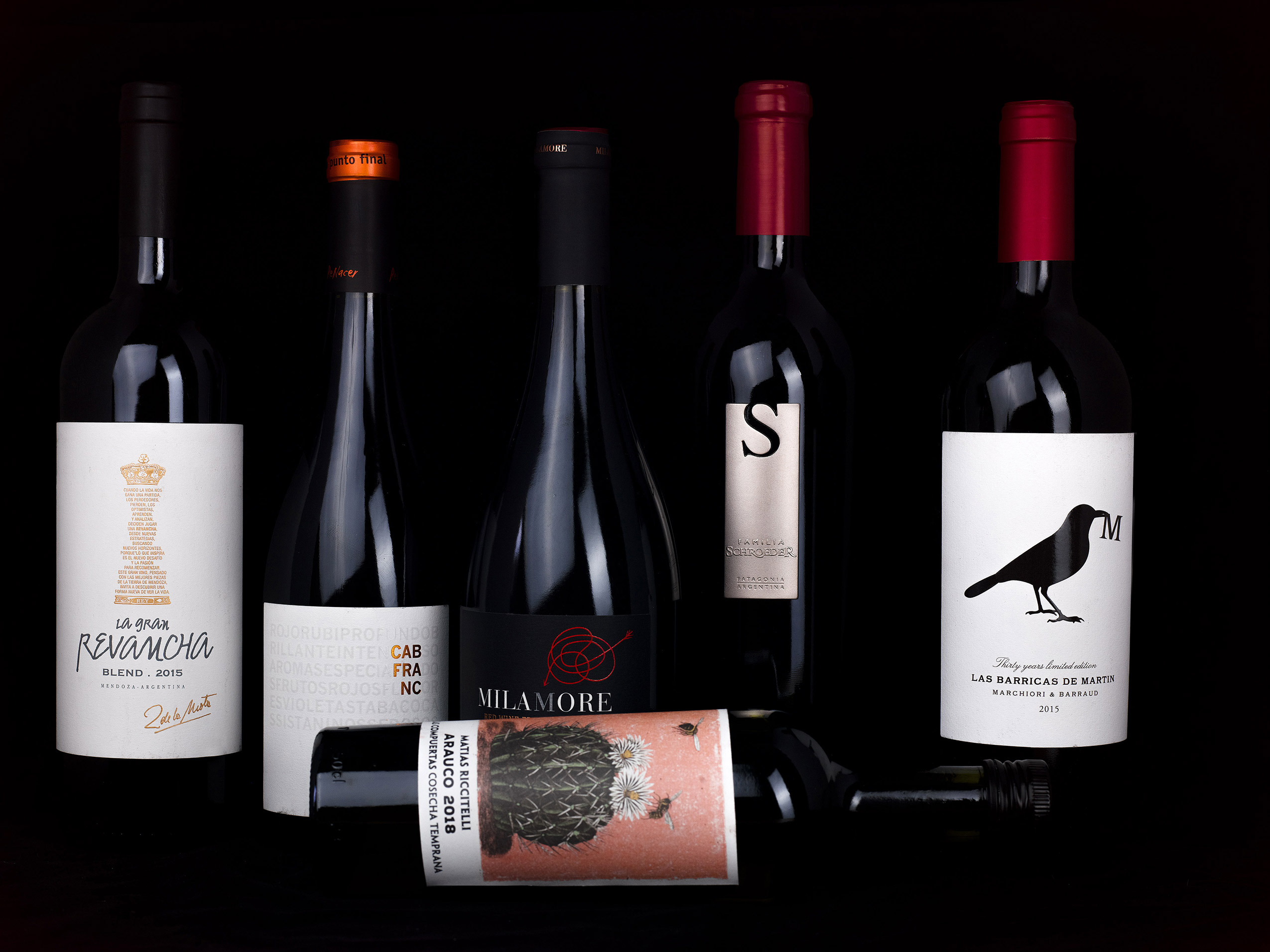 Argentinischer Wein – Casa Vinos Argentinos