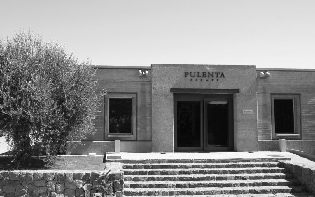 Bodega Pulenta Estate