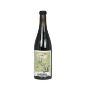 riccitelli gualtallary garnacha 2024